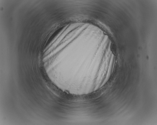 X0000078270065200612011730