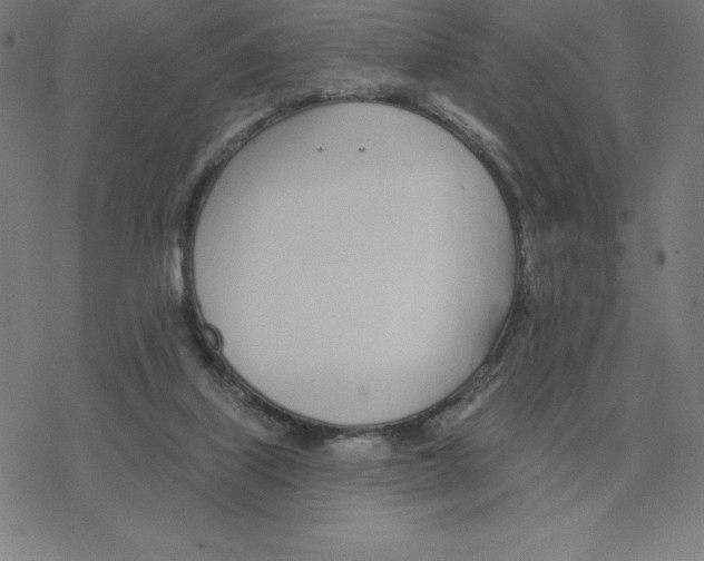 X0000078270067200612011730