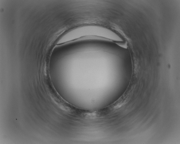 X0000078270068200612011730