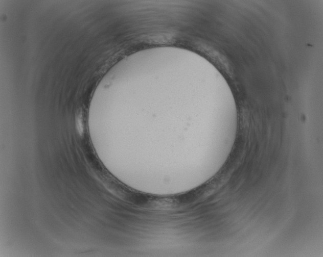 X0000078270069200612011730