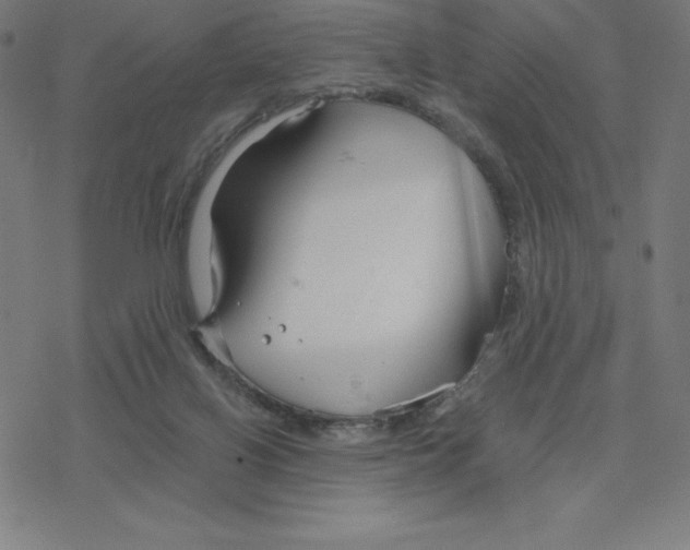 X0000078270070200612011730