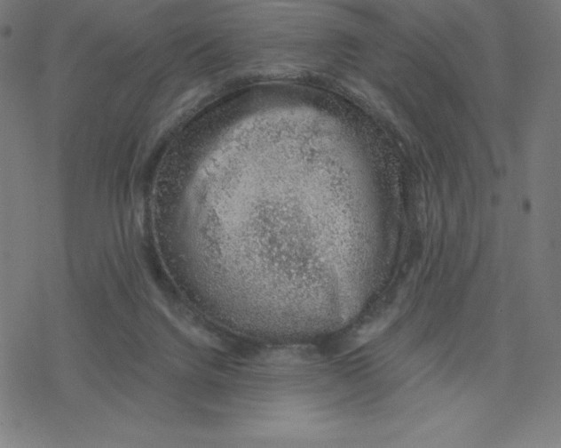 X0000078270072200612011730