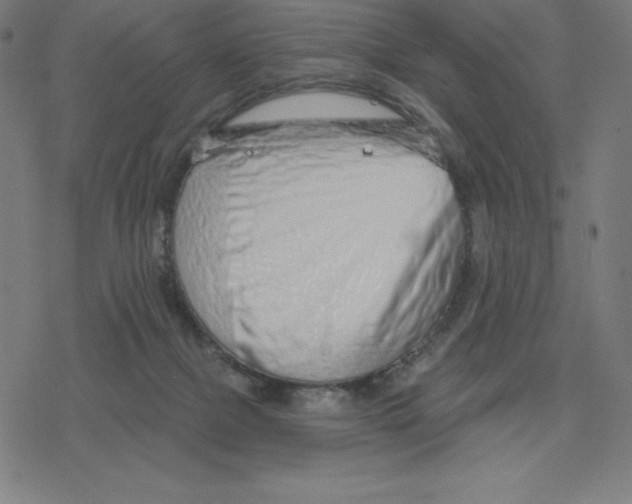 X0000078270073200612011730