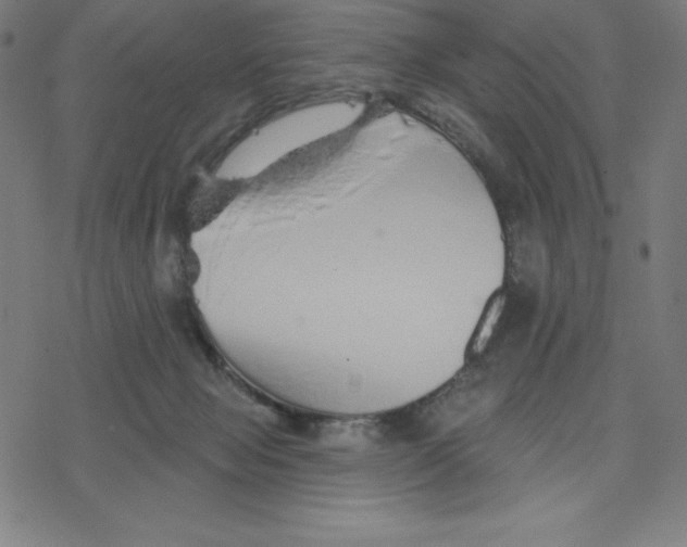 X0000078270077200612011730