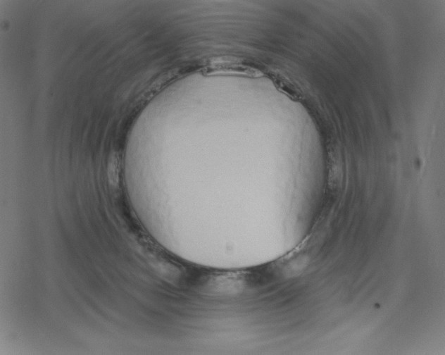 X0000078270078200612011730