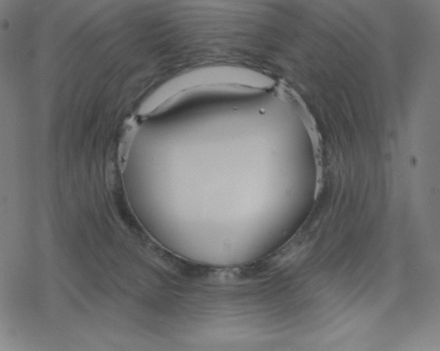 X0000078270080200612011730