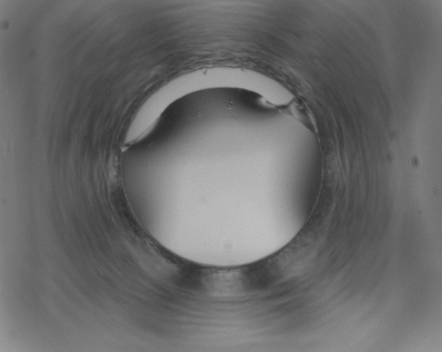 X0000078270081200612011730