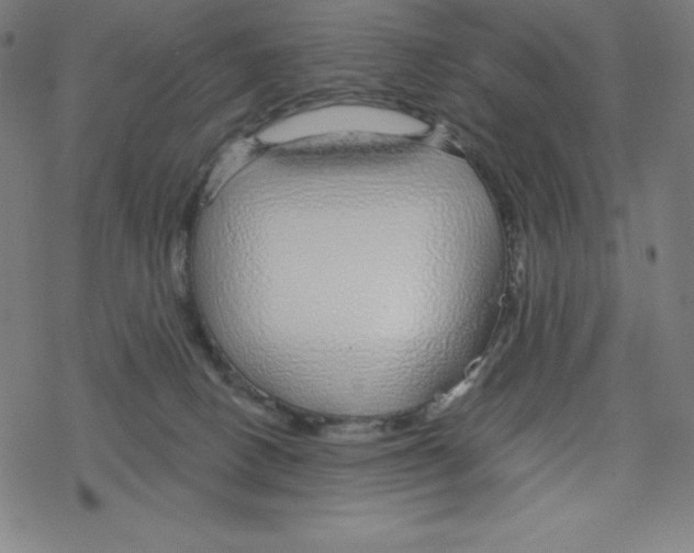 X0000078270082200612011730