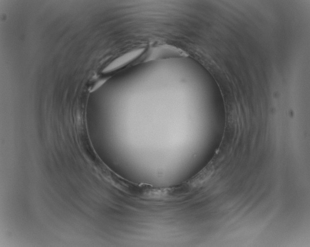 X0000078270084200612011730