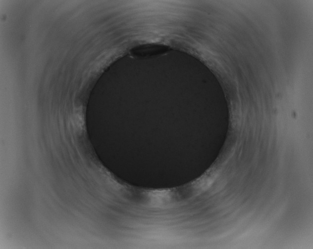 X0000078270085200612011730