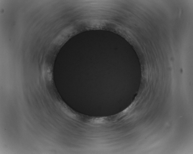 X0000078270086200612011730