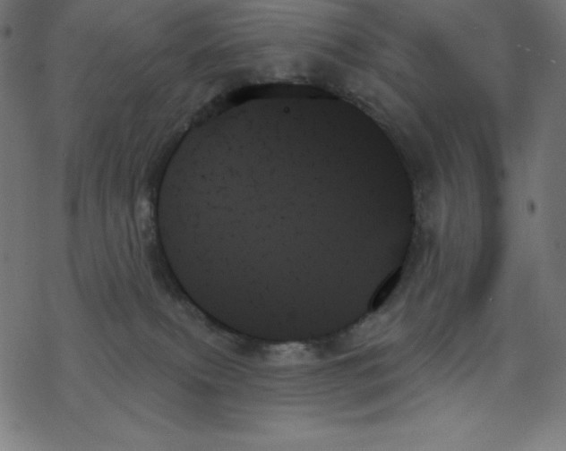 X0000078270087200612011730