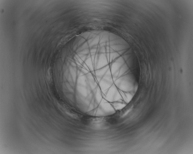 X0000078270088200612011730