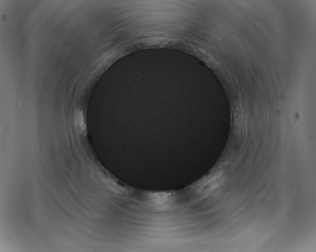 X0000078270089200612011730