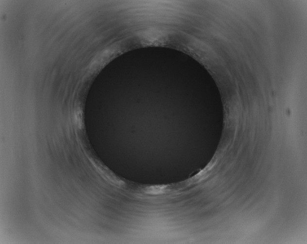 X0000078270090200612011730