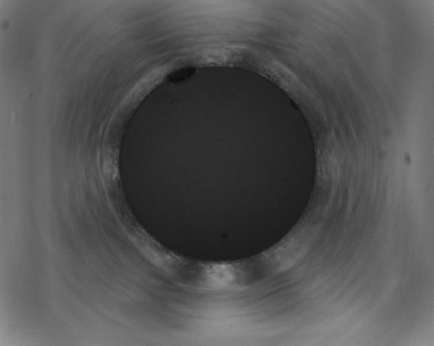 X0000078270091200612011730