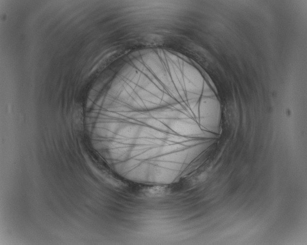 X0000078270092200612011730