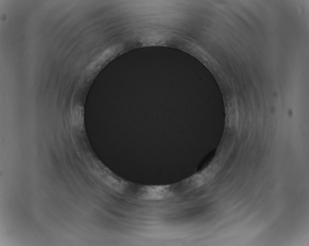 X0000078270093200612011730