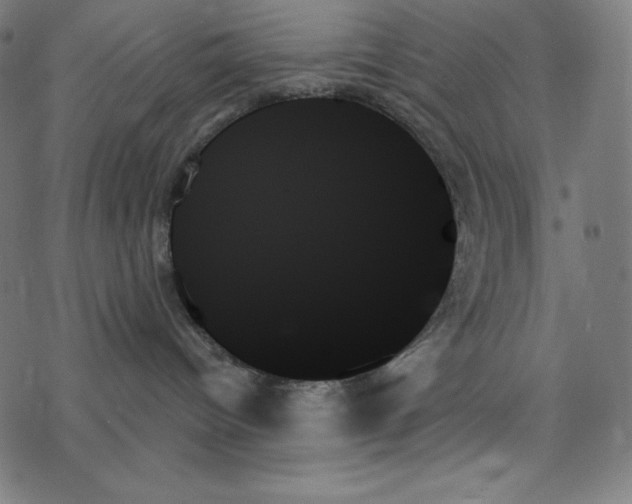 X0000078270096200612011730