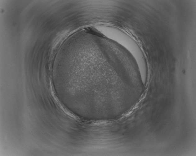 X0000078270097200612011729