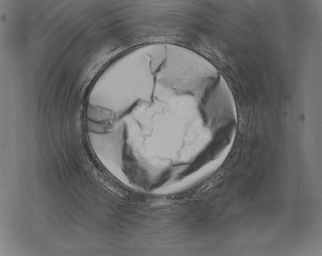 X0000078270098200612011729