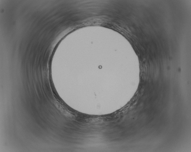 X0000078270100200612011729