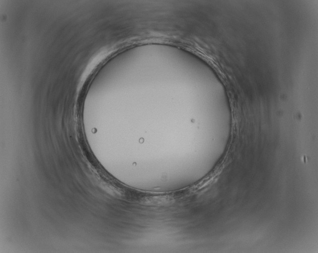 X0000078270102200612011729