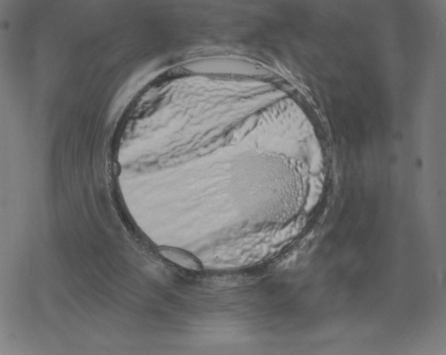 X0000078270103200612011729