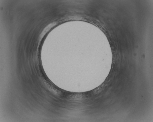 X0000078270104200612011729