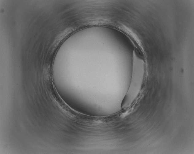 X0000078270105200612011729