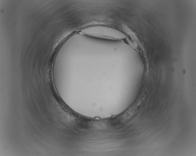 X0000078270106200612011729