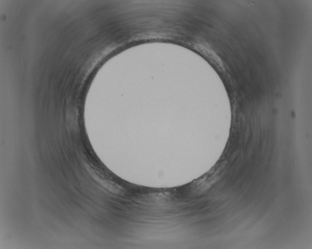 X0000078270108200612011729