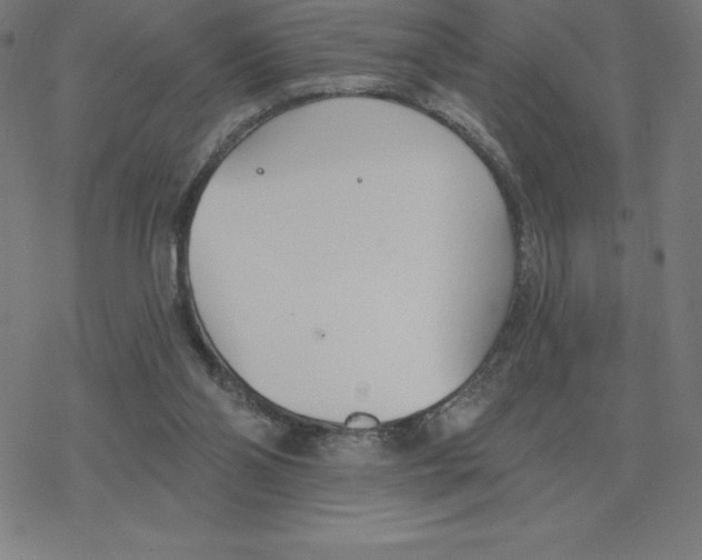 X0000078270110200612011729