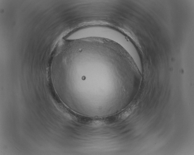 X0000078270111200612011729