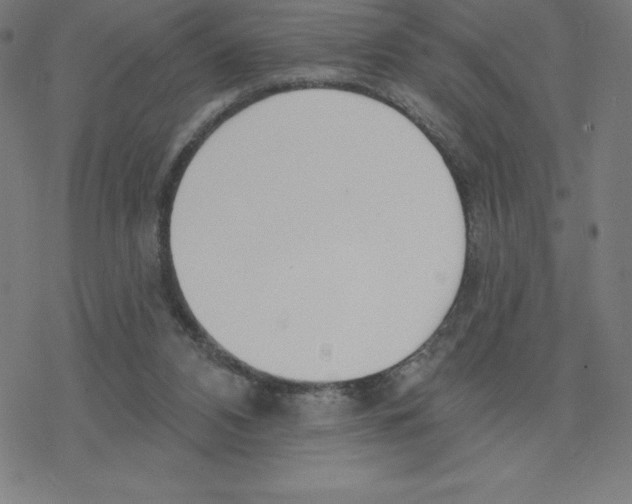 X0000078270112200612011729