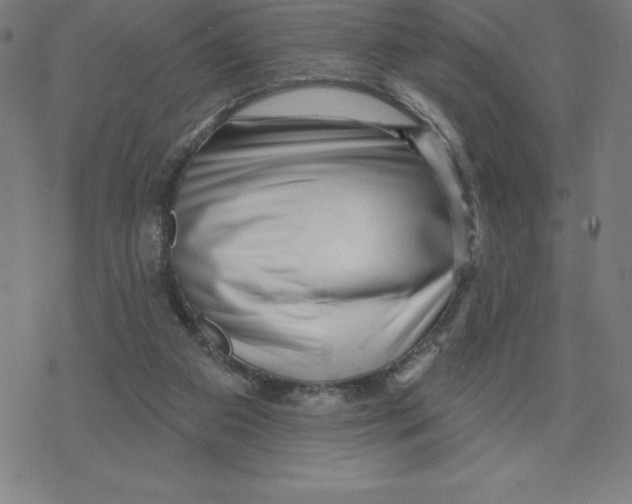 X0000078270113200612011729