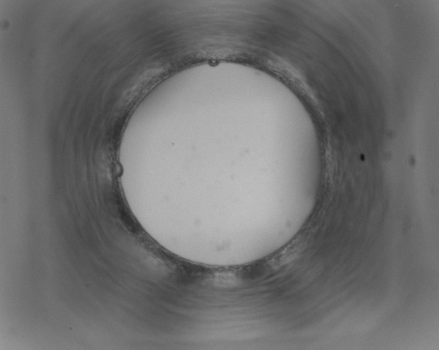 X0000078270114200612011729