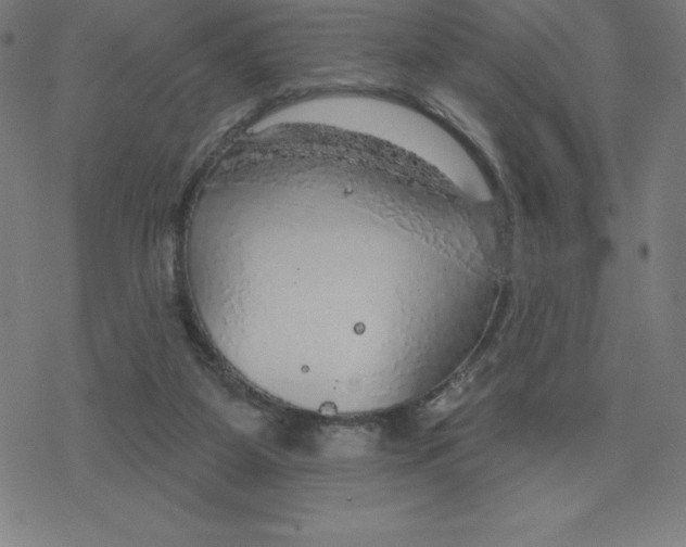 X0000078270115200612011729