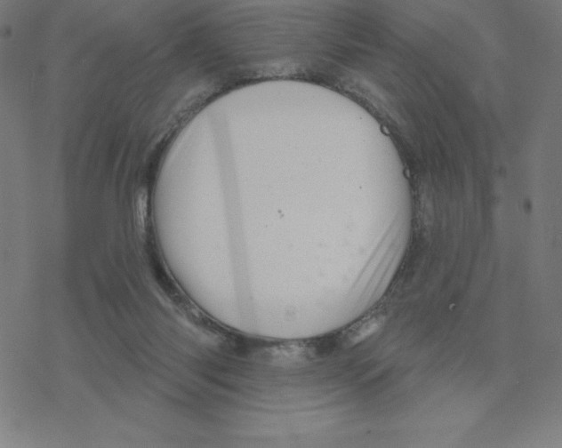 X0000078270118200612011729