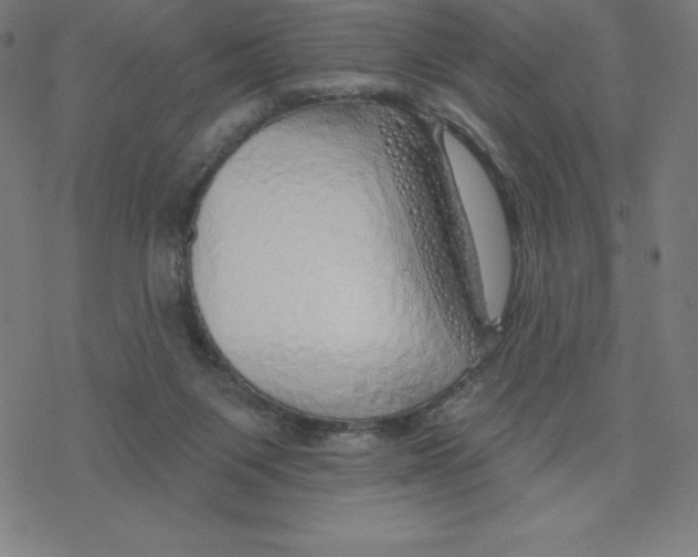 X0000078270119200612011729