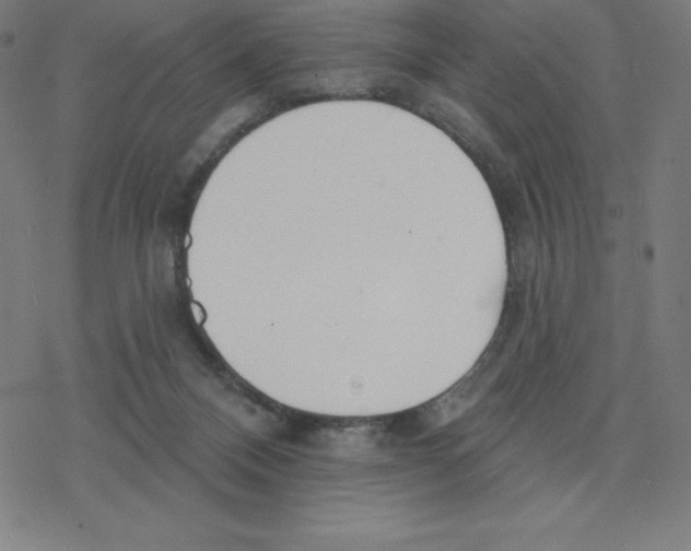 X0000078270120200612011729