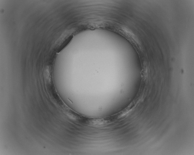 X0000078270121200612011729