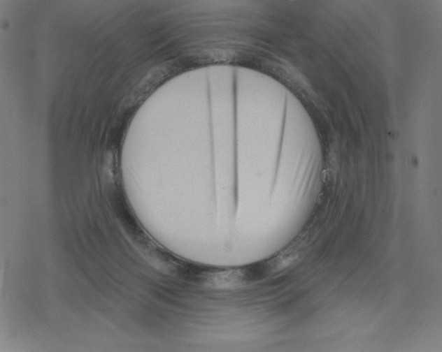 X0000078270122200612011729