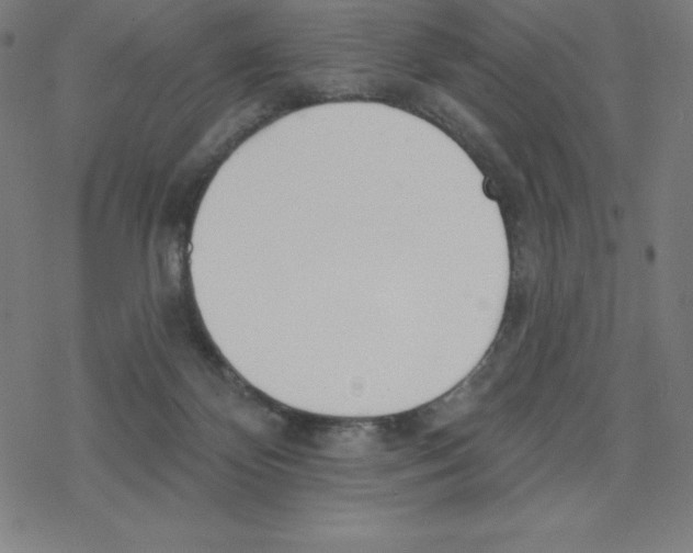 X0000078270124200612011729