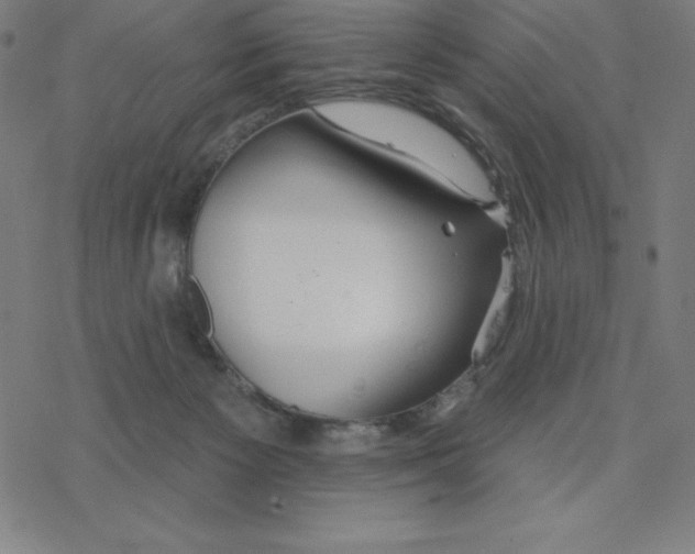 X0000078270125200612011729