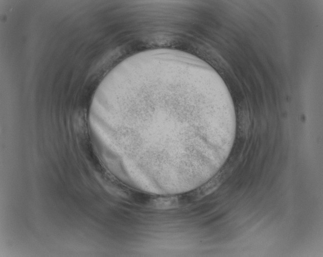 X0000078270126200612011729