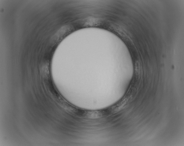 X0000078270127200612011729