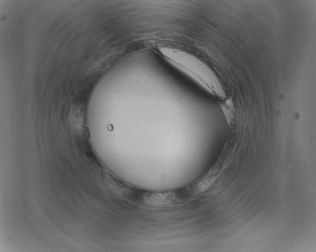 X0000078270129200612011729