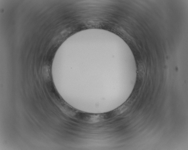 X0000078270130200612011729