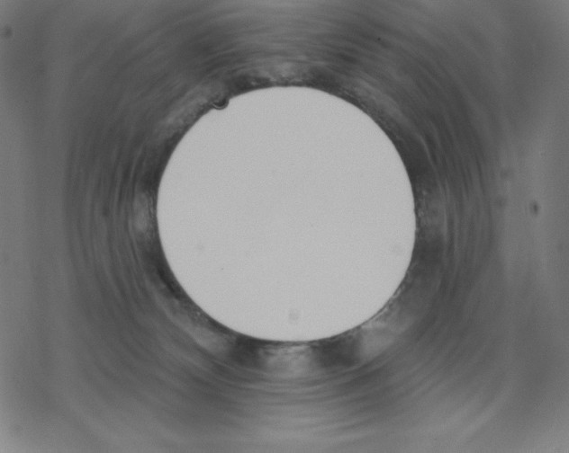 X0000078270132200612011729